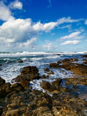 Seascape Mediterranean coast