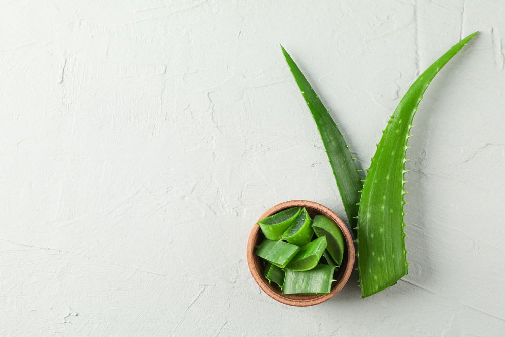 Aloe vera leaves and slices on table, space for text and top view. Natural treatment