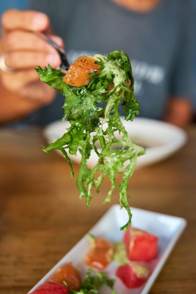 Vertical photo of a person holding some salmon salad with a fork
