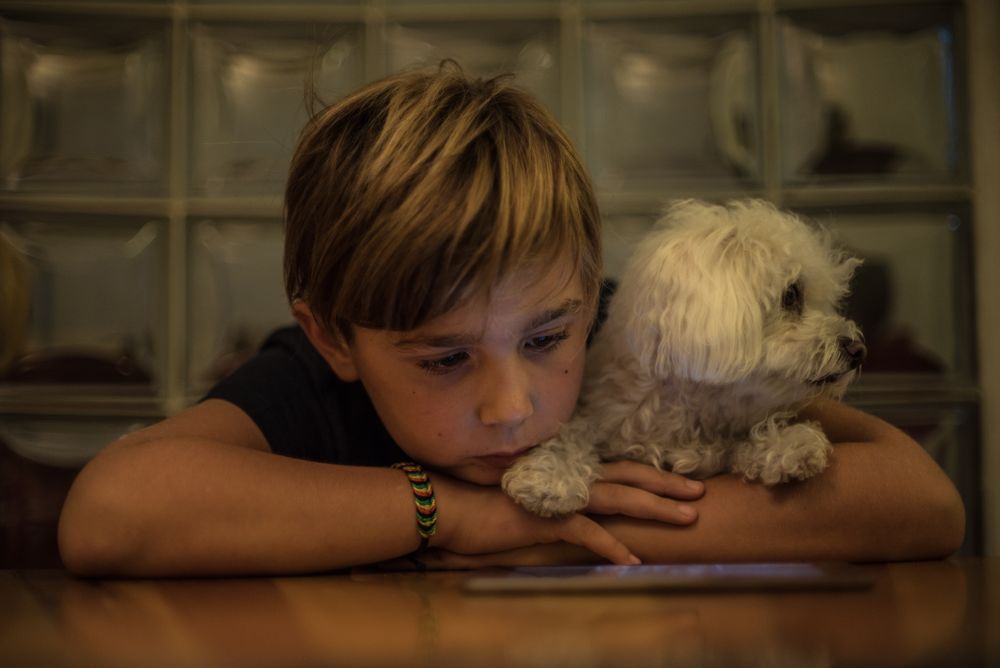 Boy hugging bichon dog