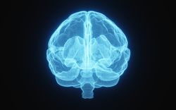 Blue glowing X-ray image of human brain in blue wireframe on isolated on dark background