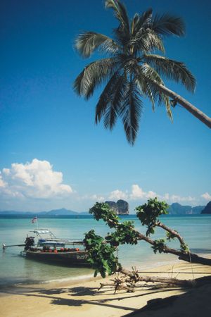 Tropical beach with palms and boat floating