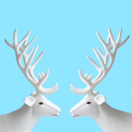 Two reindeers on pastel blue background