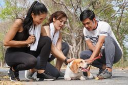 Friends in a park stopping to pet a dog
