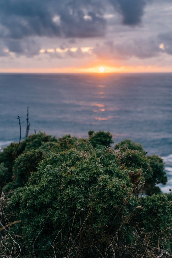 Grassy shore near stormy sea in evening