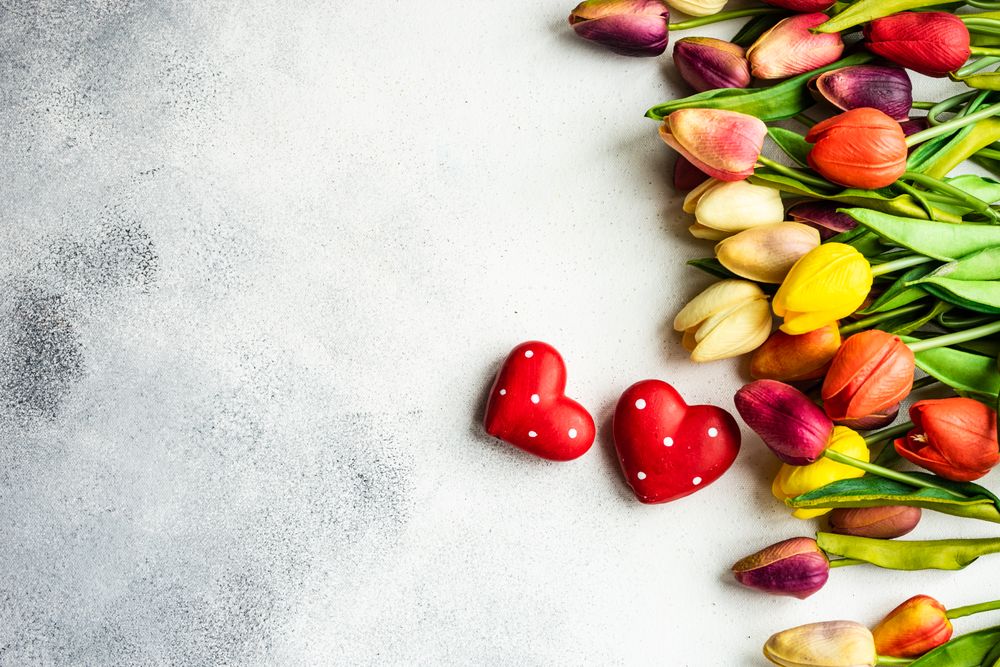 Top view of tulips and dotted heart ornaments on grey counter