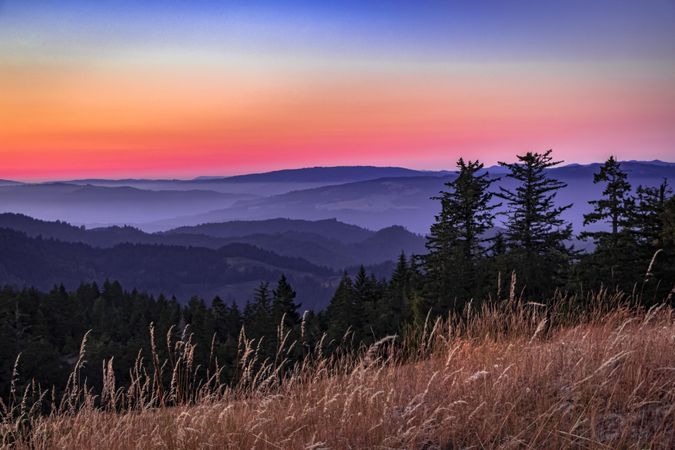 Colorful sunset over Northern Californian mountains with tall grass in foreground