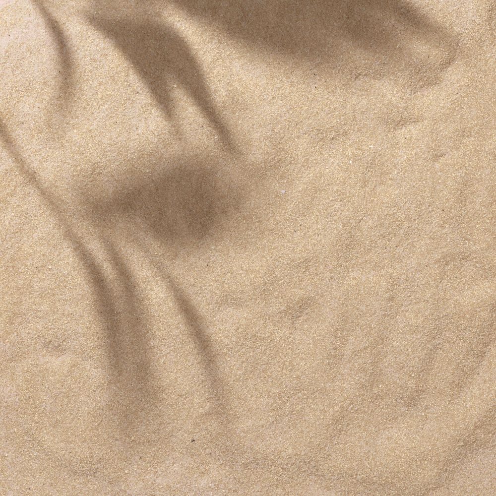 Sand with palm leaf shadows