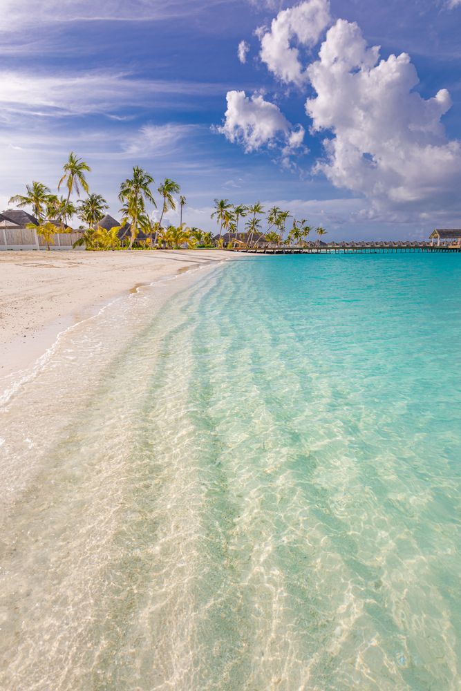 Clear waves coming up on a tropical beach with palm trees in background