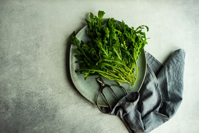 Arugula leaves on plate with copy space