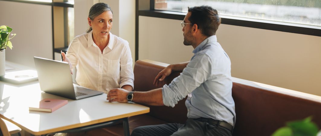 Woman sharing project details with business partner