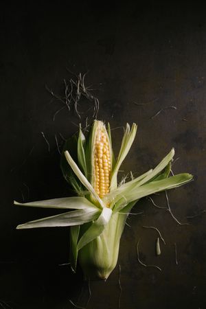 Phases of fresh corn peeling