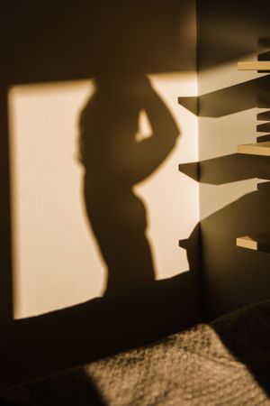 Shadow of a sensual woman projected on a wall