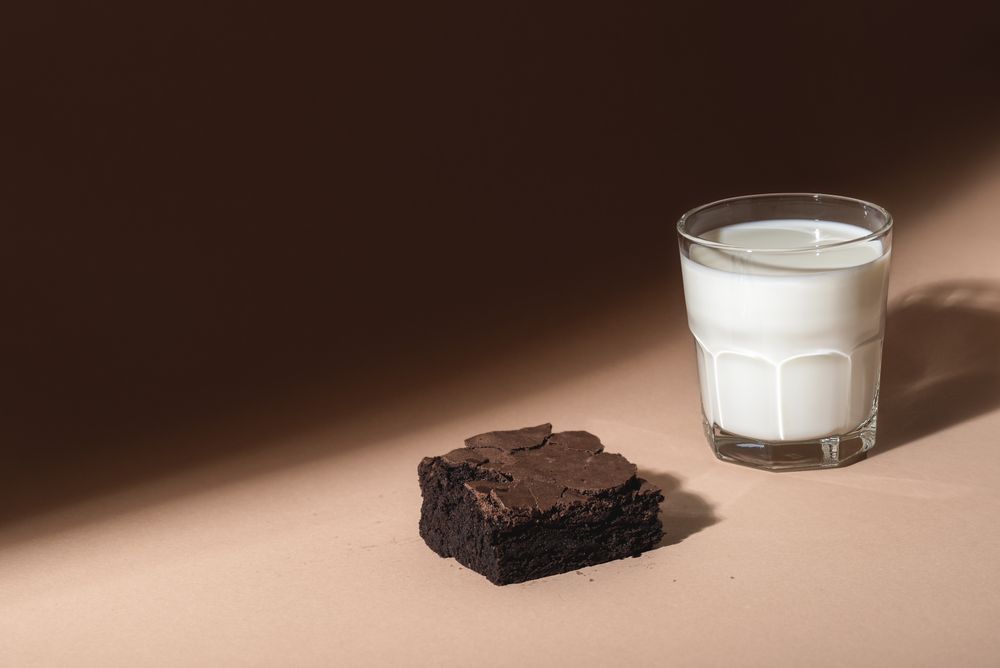 Glass of milk and brownie cookie in sunlight