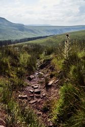 Brook with mountains in the background