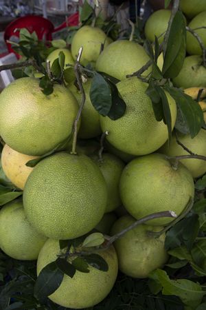 Fresh Fruits Green Pomelo (Citrus grandis) Displayed for sale in the Market of Bangladesh