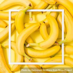 Bananas on yellow background with light frame 4jGjvb