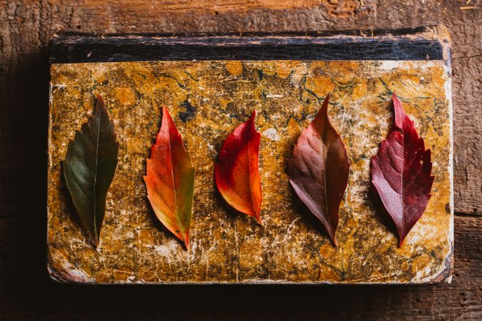 Autumn leaves on old book on wooden surface