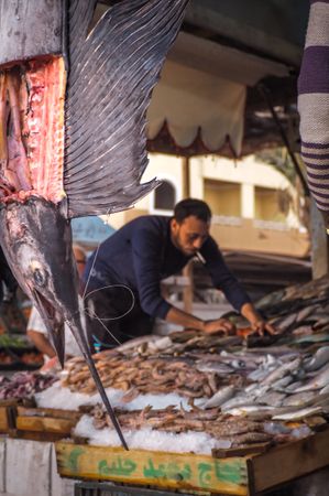 Man standing at the fish display at the street market