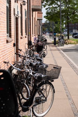 Bikes lining road in Copenhagen