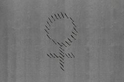 Aerial view of group of people forming a female sign to represent women