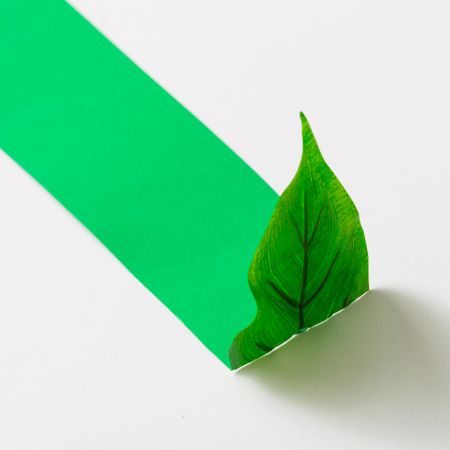 Paper leaf with green trail on light background