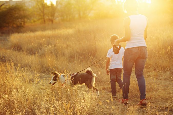 Back of woman and boy walking in nature with dog
