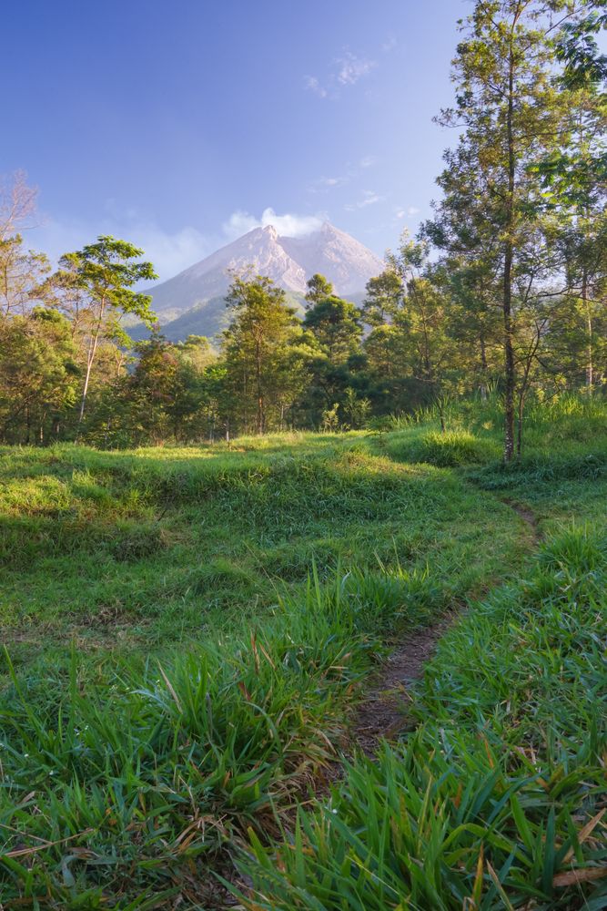 Autumn in the merapi mountains with bunch of green garden