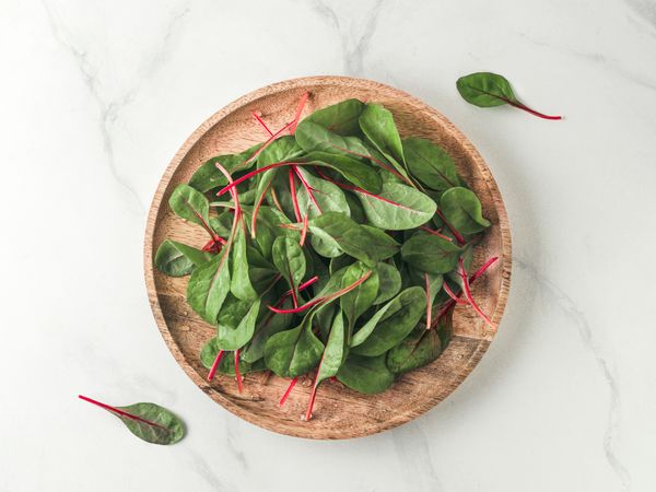 Fresh salad of green chard leaves or mangold