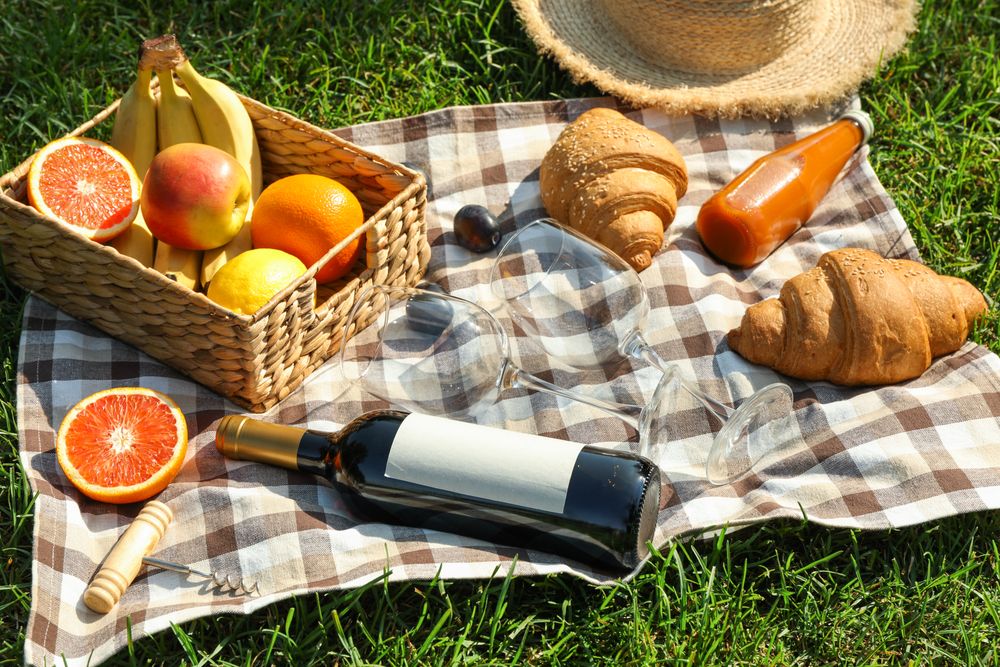 Picnic composition with wine and food against green grass. Empty space on bottle