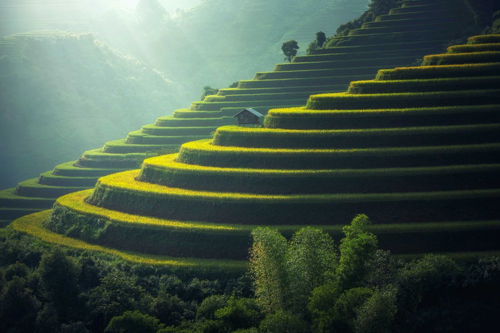 Multi-level fields