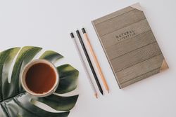 Writing accessories and drink in mug on palm leaf