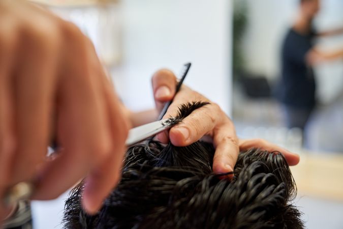 Crop hairstylist cutting hair of client