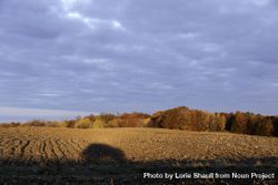Car shadow on farm field in morning light in Prescott, Wisconsin 0JwyK5