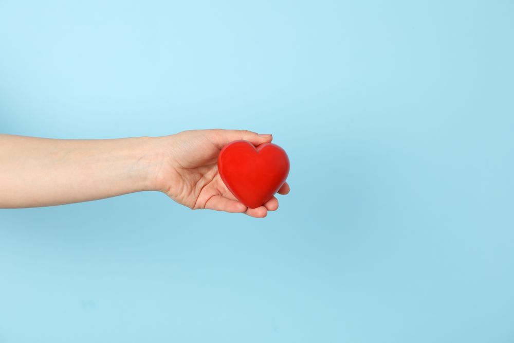Female hand holds heart on blue background. Health care, organ donation
