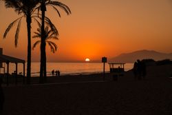 Palm Trees Silhouette At Sunset in the beach