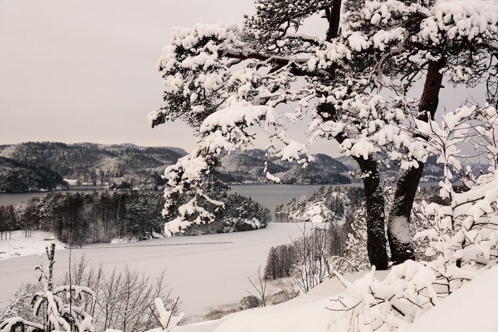 Snowy peaceful mountain valley at shore