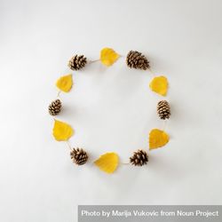 Circle of yellow and pinecone with copy space 5Xl7P5