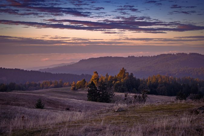 Gradient peach and purple sunset over mountain trees