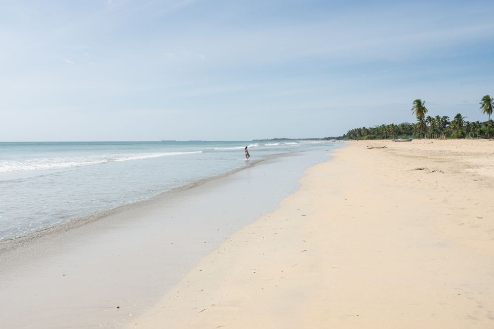 Young woman in water on sand beach with tropical forest