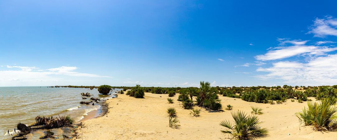 Lake Turkana Eliye Springs Beach Lodwar Landscapes Waterscape