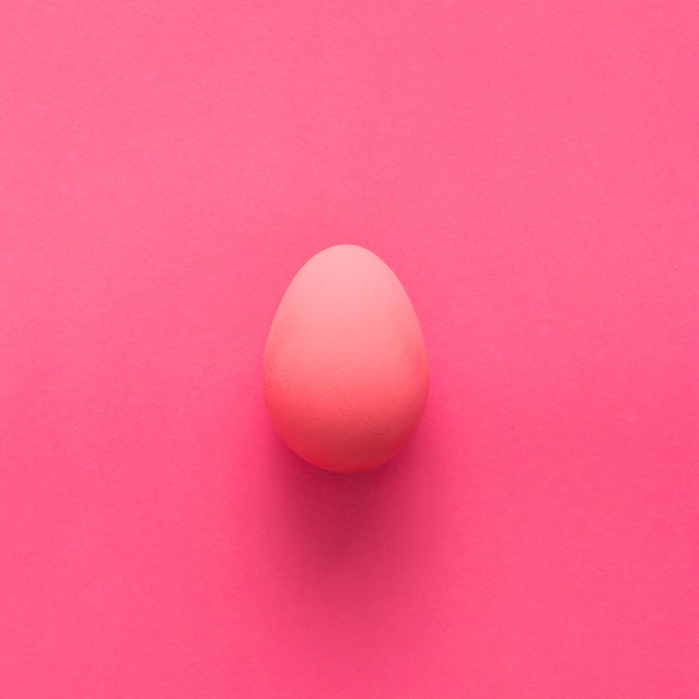 Pink egg on pink background