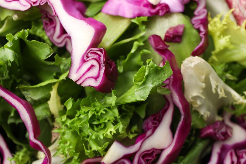 Fresh salad texture on whole background, close up