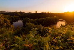 Peaceful river flowing in green nature
