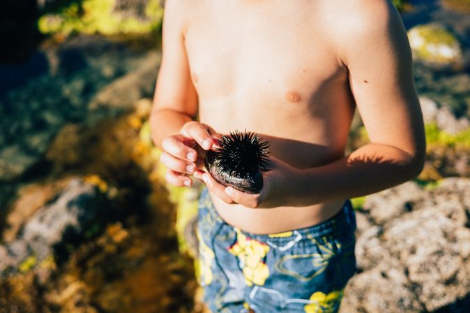 Boy holding sea urchin