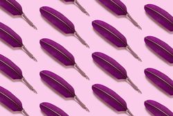 Purple quill pens on pink background