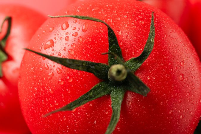 Fresh ripe tomatoes on whole background, macro