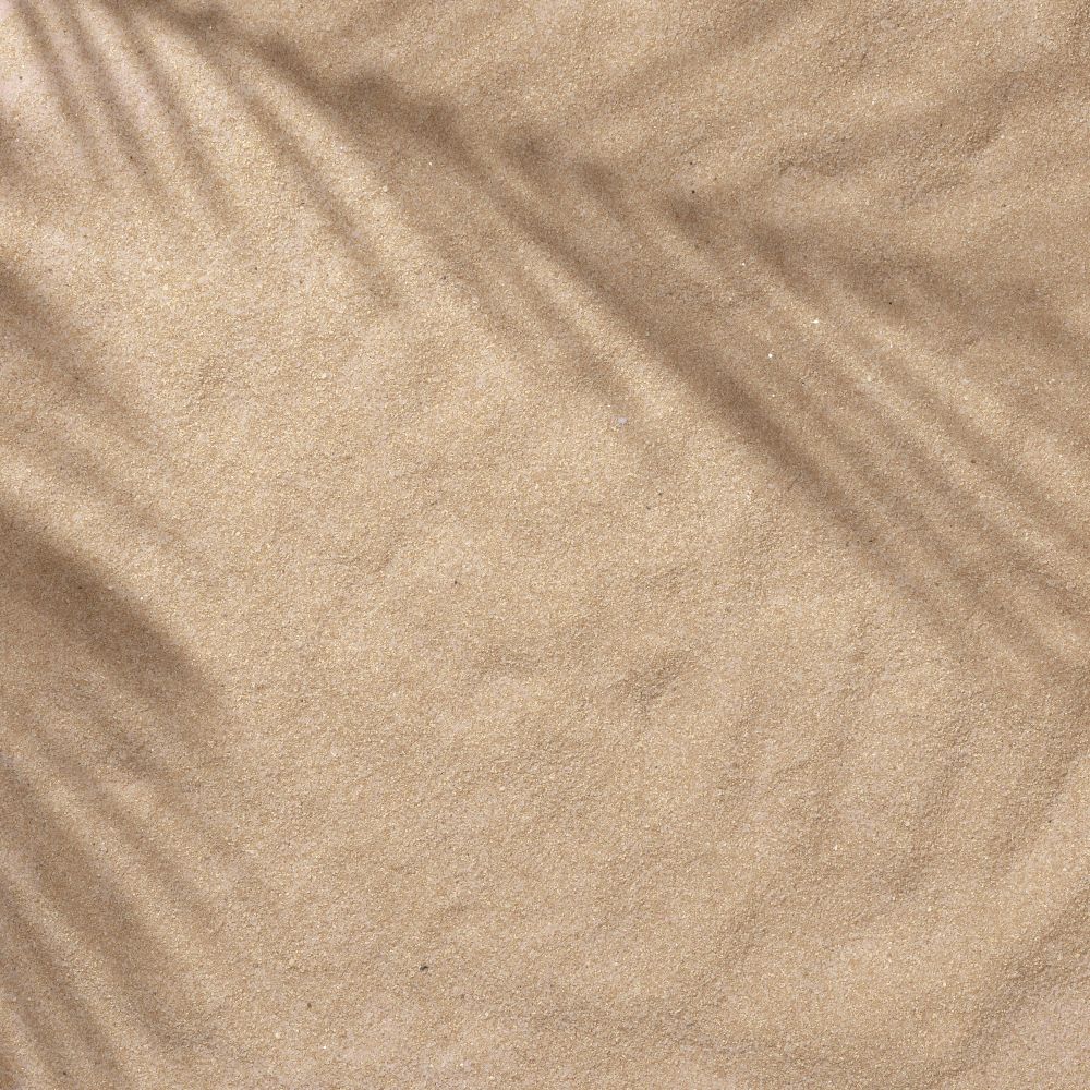 Sand with palm leaf shadows