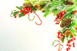 Bright Christmas table with branches and pine cones