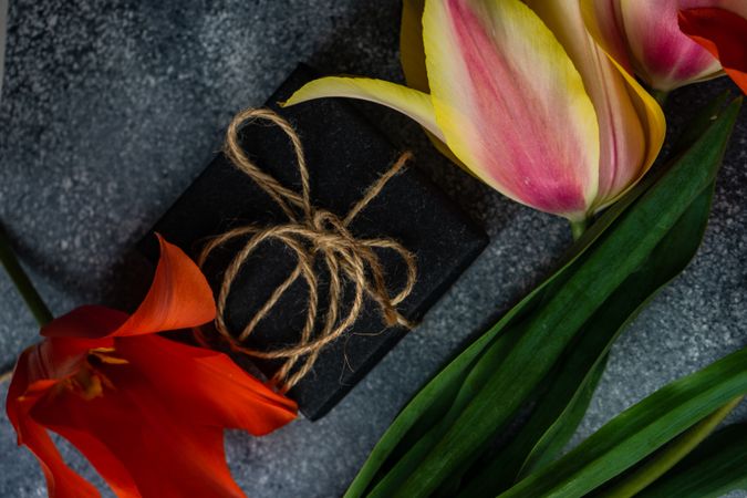 Tulip flowers on concrete background with small giftbox wrapped in string